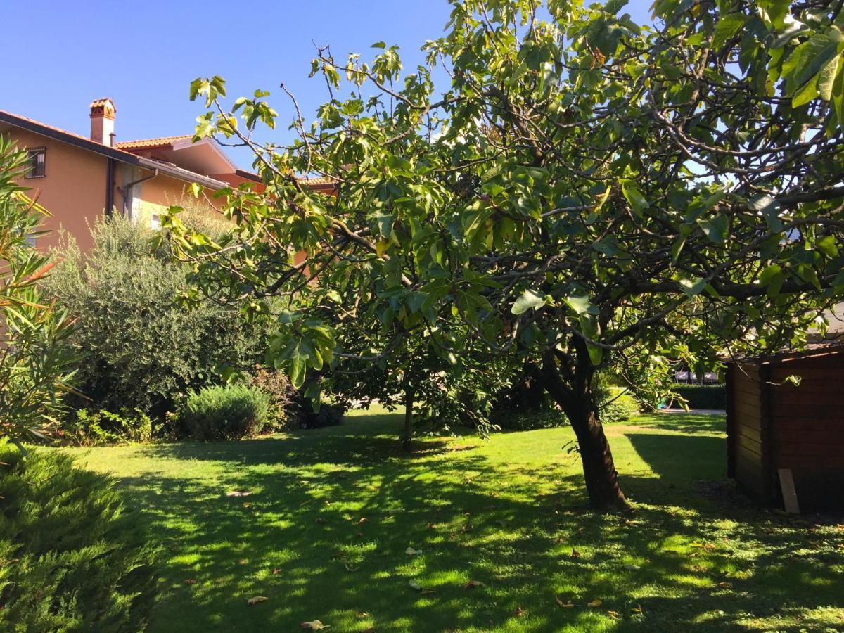 Abies Lago Di Como دونغو المظهر الخارجي الصورة