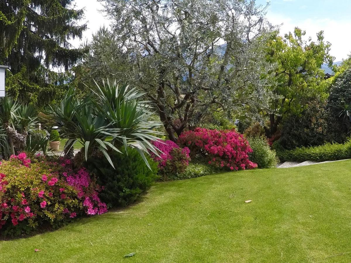 Abies Lago Di Como دونغو المظهر الخارجي الصورة