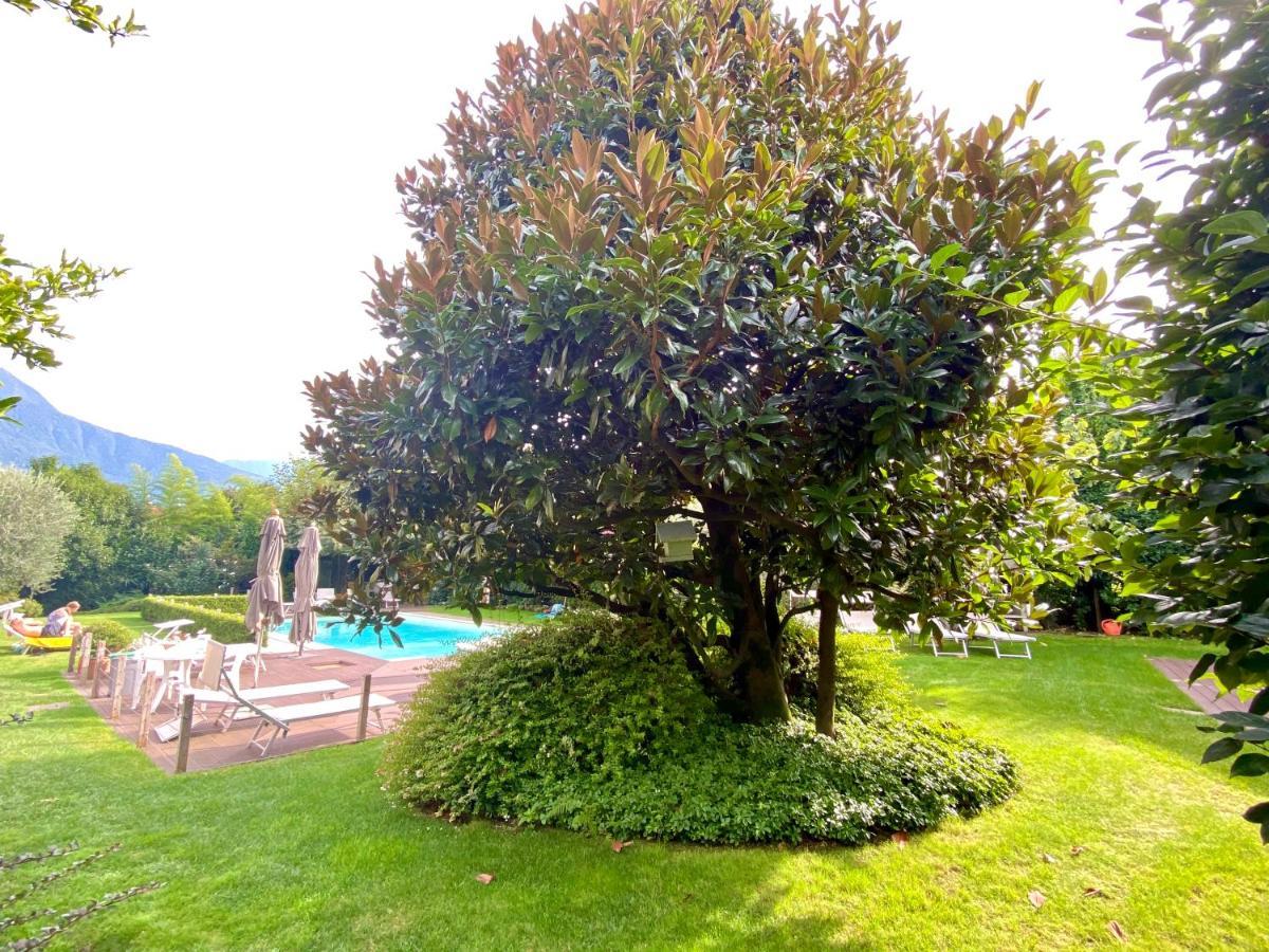 Abies Lago Di Como دونغو المظهر الخارجي الصورة